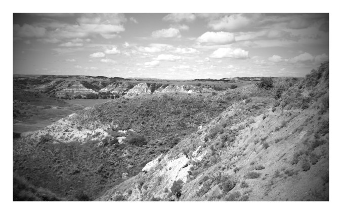 20160707_103635-EFFECTS